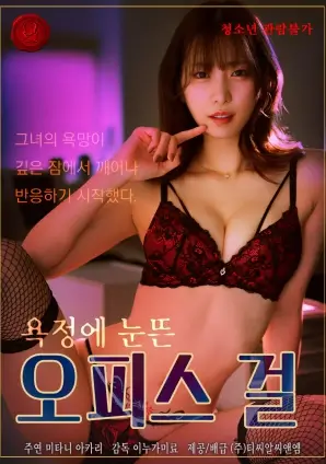 《朱拉夜航》编目详图，深夜写字楼灯窗与天桥车流